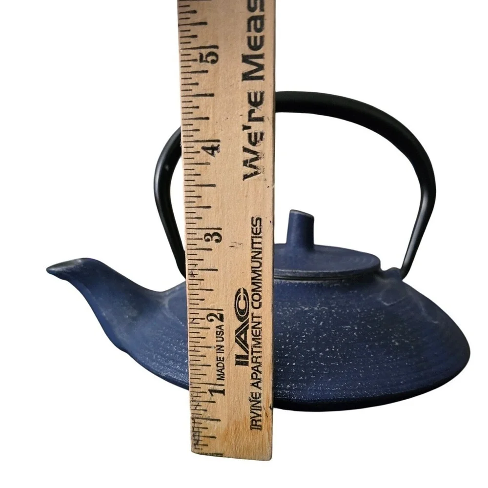 Iwachu Japanese‎ Cast Iron Teapot Blue Dragonfly Tetsubin Made in Japan